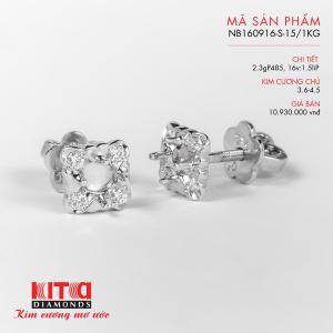 Vỏ Bông Tai Kim Cương