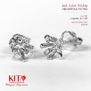 Vỏ Bông Tai Kim Cương