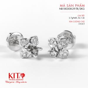 Vỏ Bông Tai Kim Cương