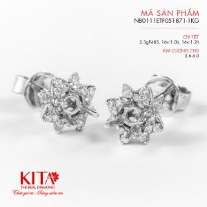 Vỏ Bông Tai Kim Cương